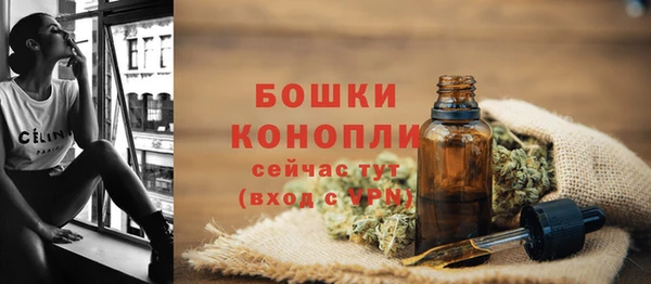 ПСИЛОЦИБИНОВЫЕ ГРИБЫ Балабаново