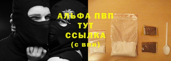 СК Белокуриха