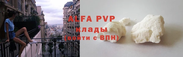 СК Белокуриха