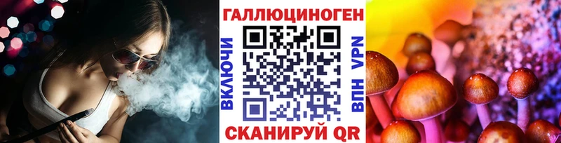 Купить  Андреаполь  Псилоцибиновые грибы мицелий 